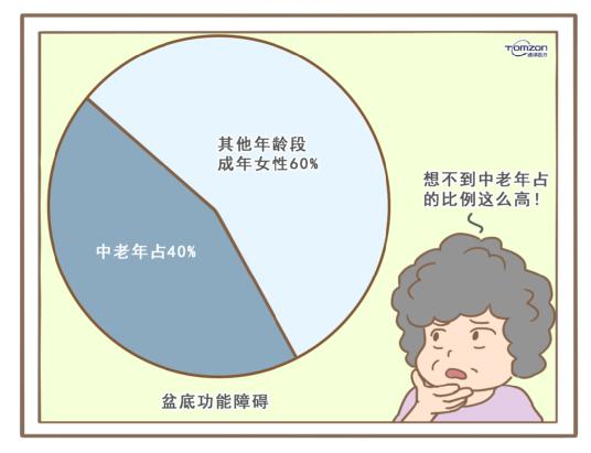 盆底康复治疗仪